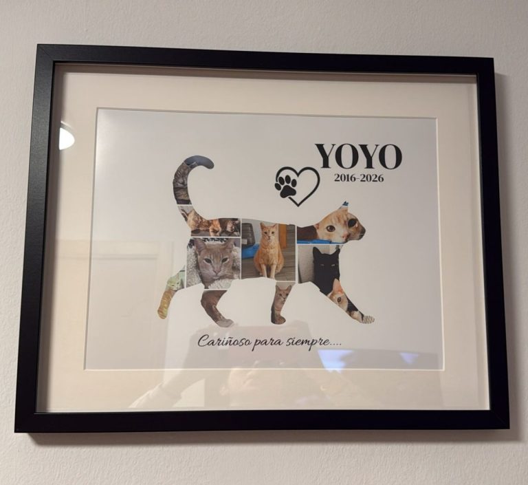 Collage personalizado.